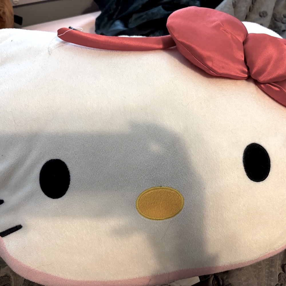 Hello Kitty Pillow and stored Blanket